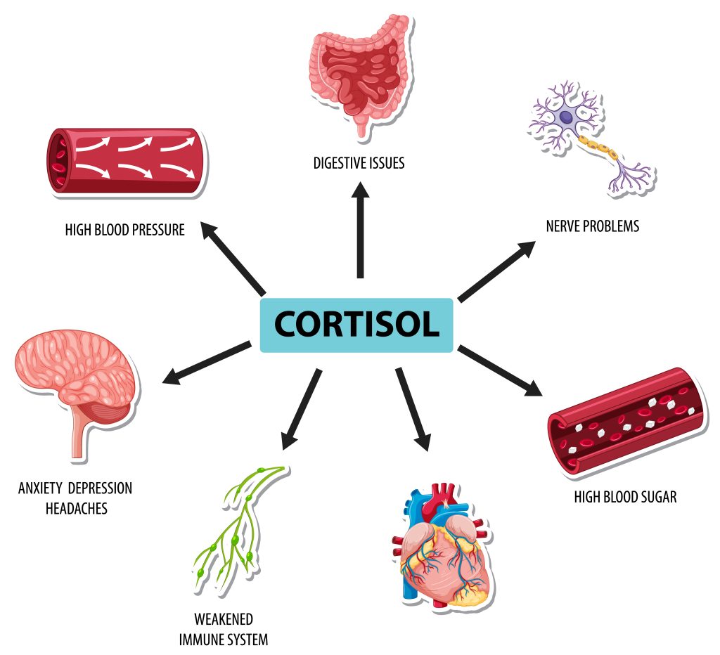 high cortisol levels consequences